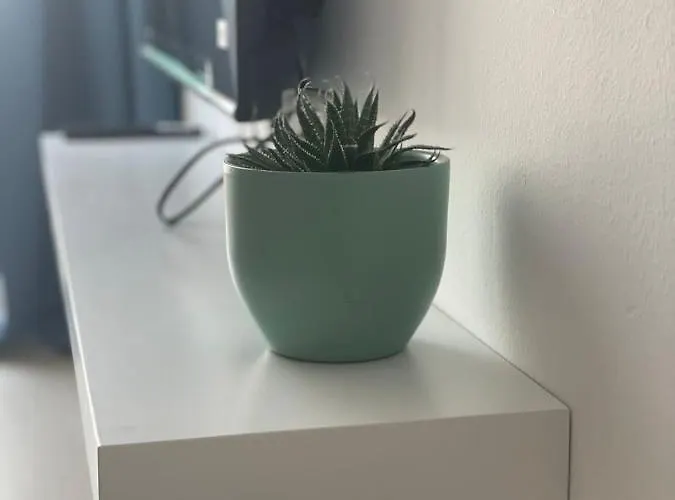 Seriani Dock Sarandë